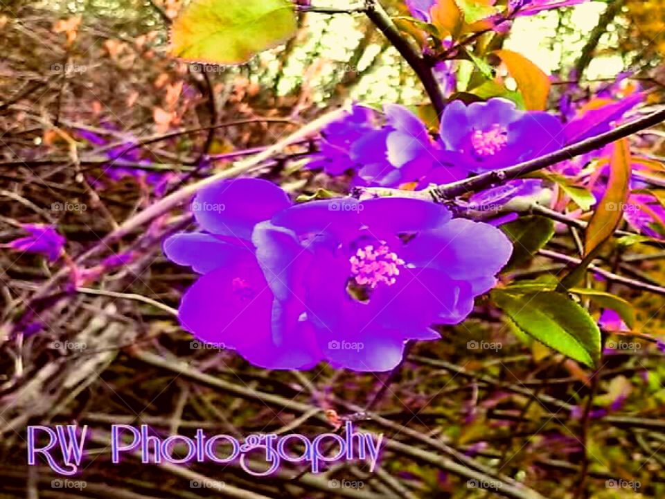 Beautiful colors of everyday life