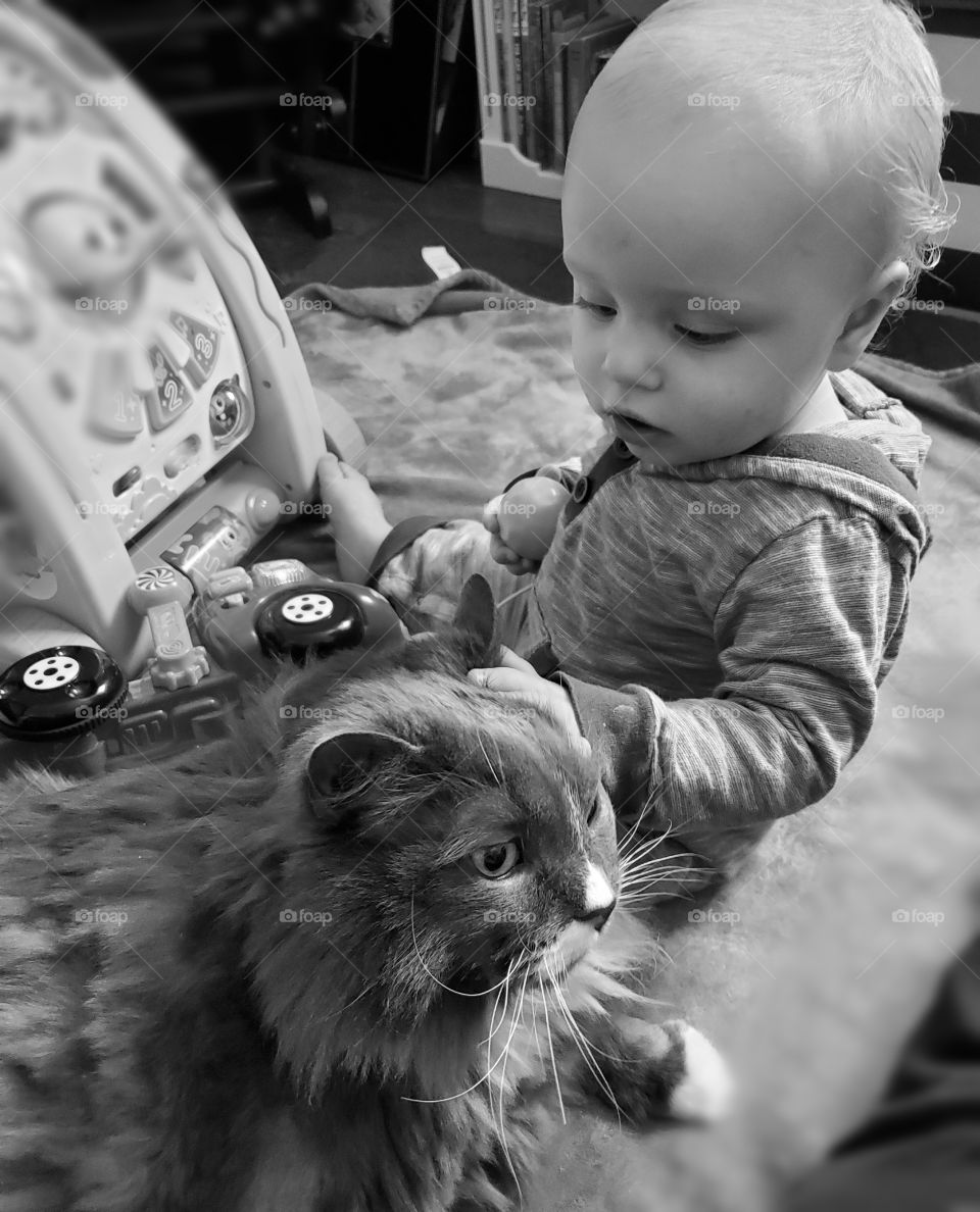 A boy and his love for his cat and toys is such a beautiful thing.