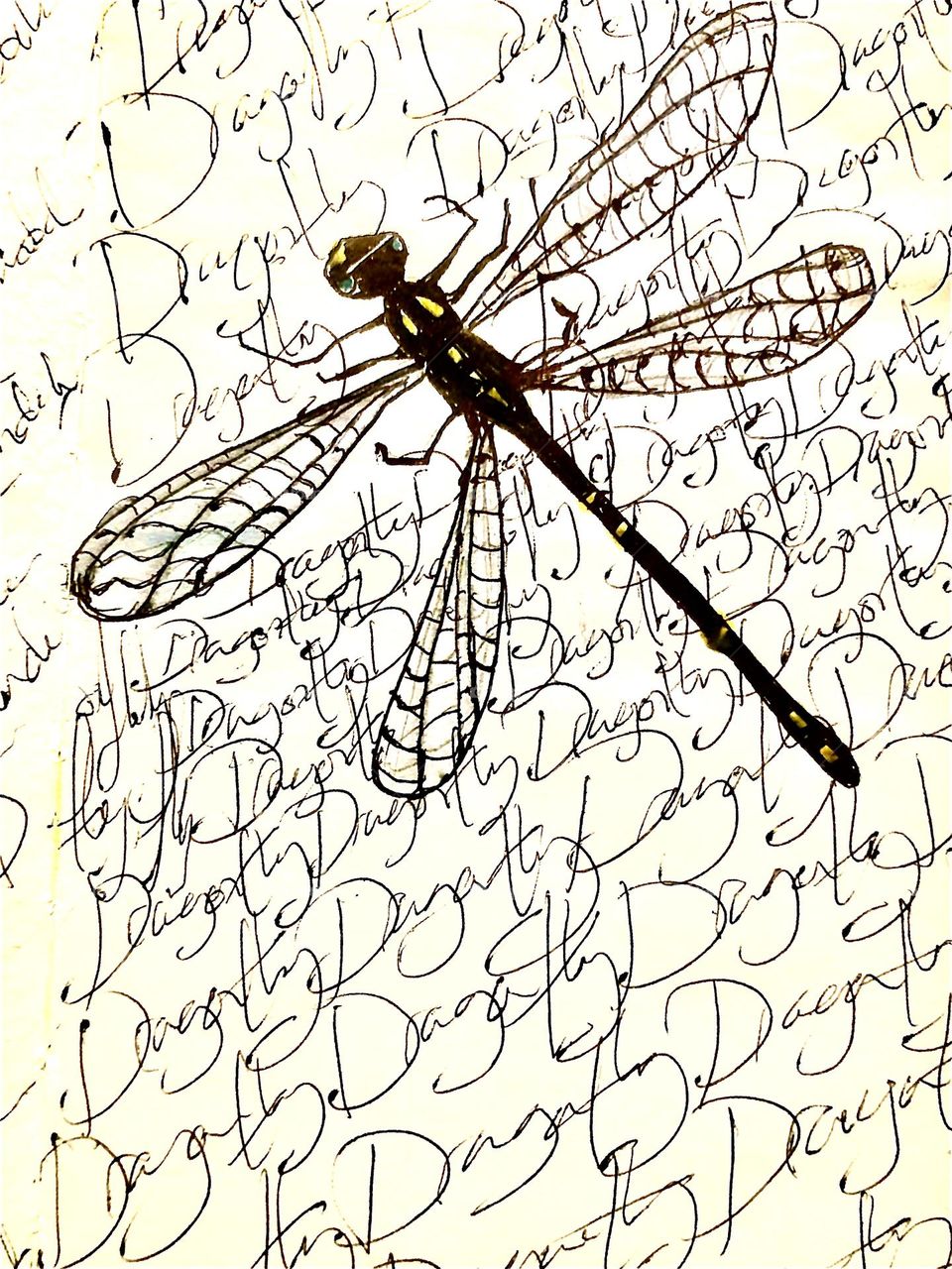 Drawing of dragonfly