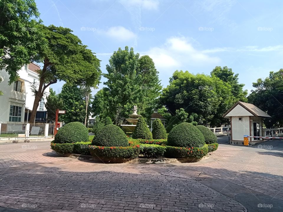 Garden in the village