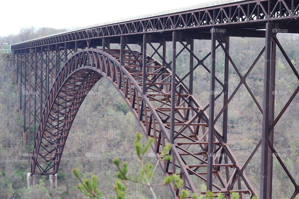 Gorge Bridge 