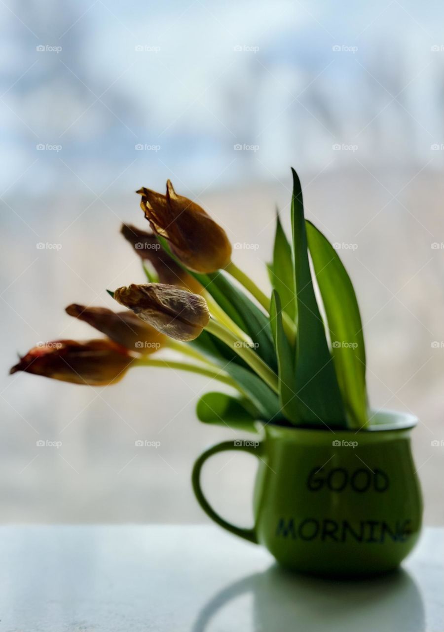 A mug with delicate tulips