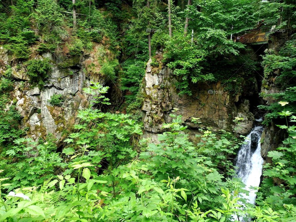 Waterfall Wilczka in Międzygórze city