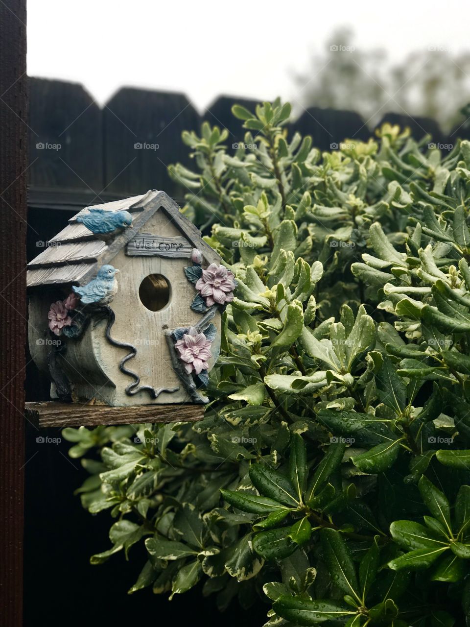 Beautiful bird house