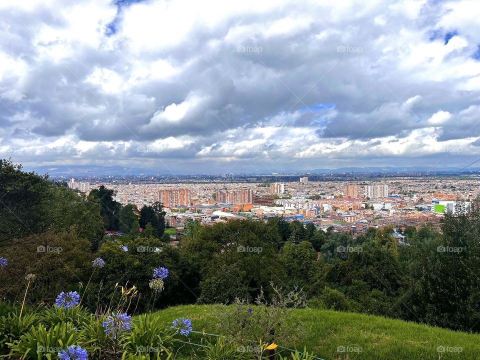 Summer-the view of the city