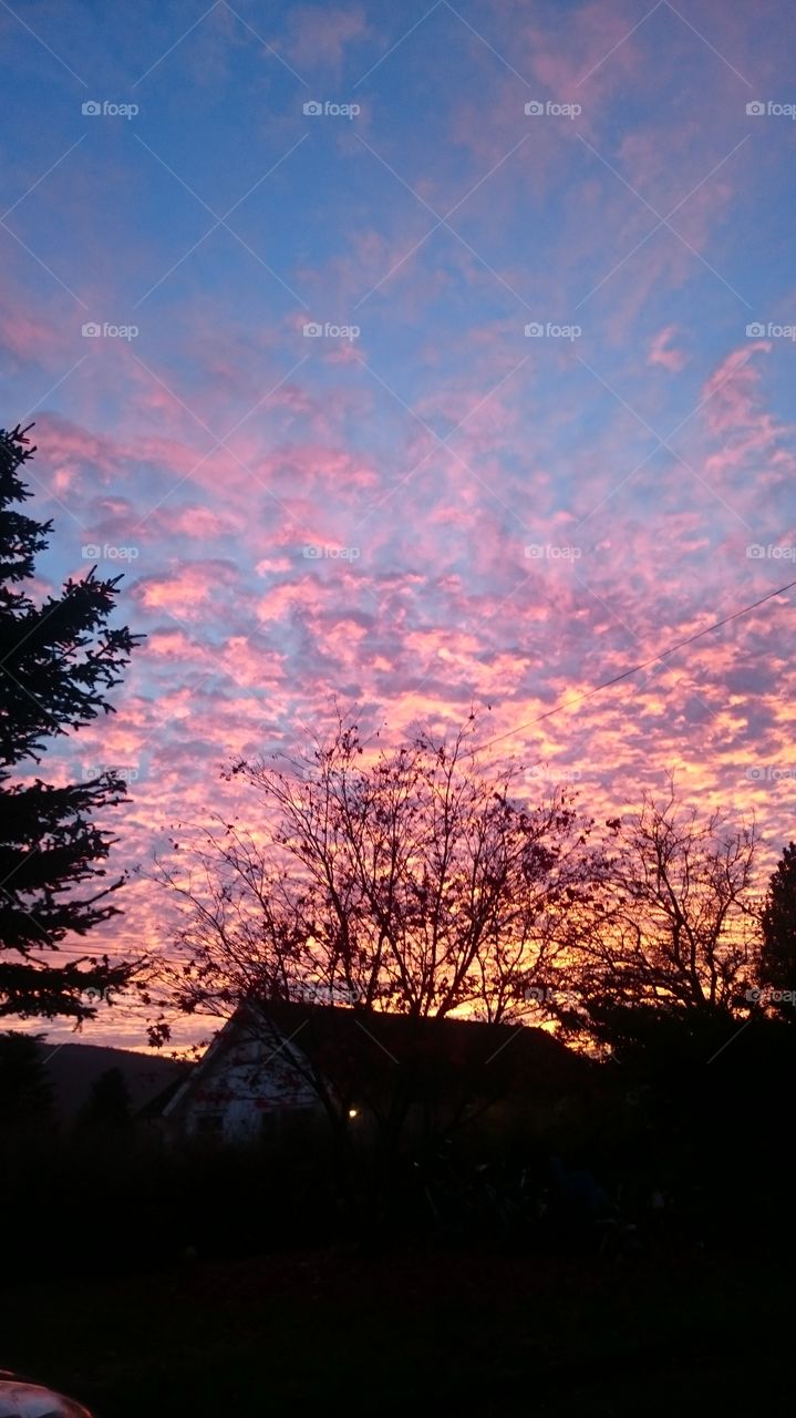 Sunset, Dawn, Landscape, Evening, No Person