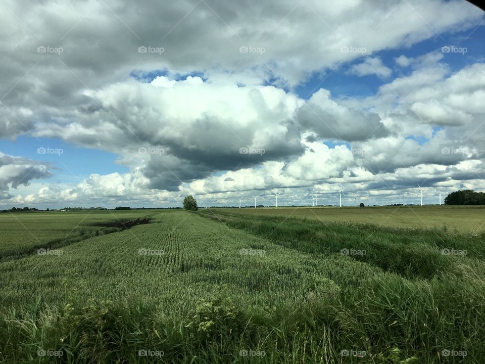 Heading to Ely ... photo taken from inside our hire van ... The Fens 