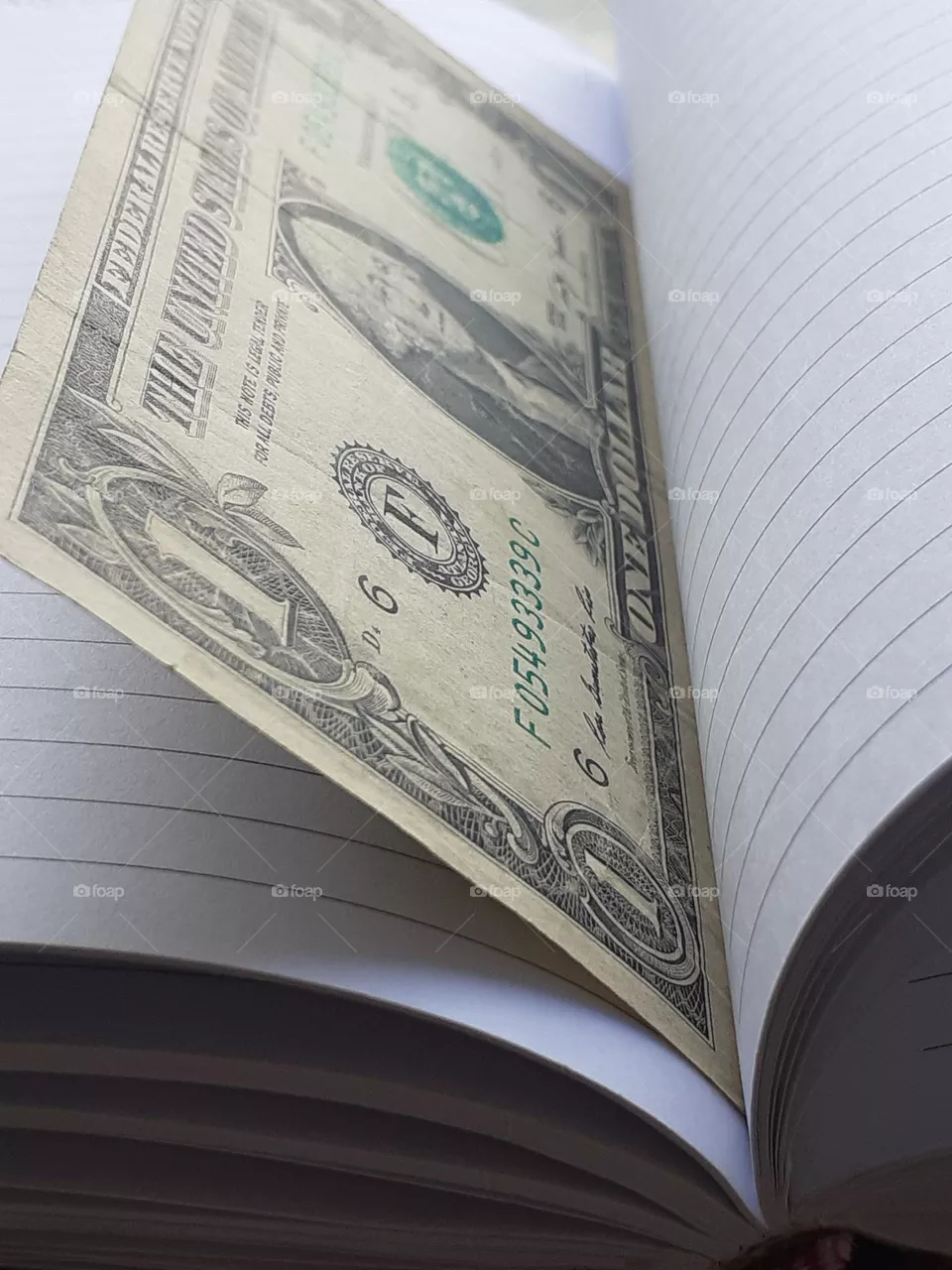 A dollar in a book