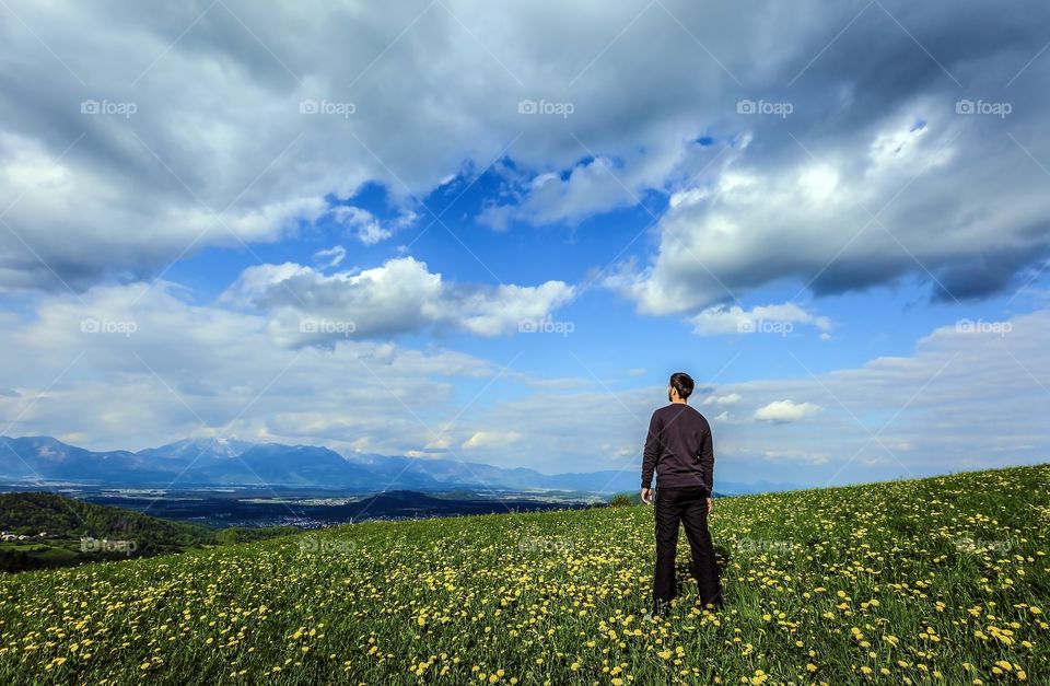 Rear view of a man standing in yellow flower field