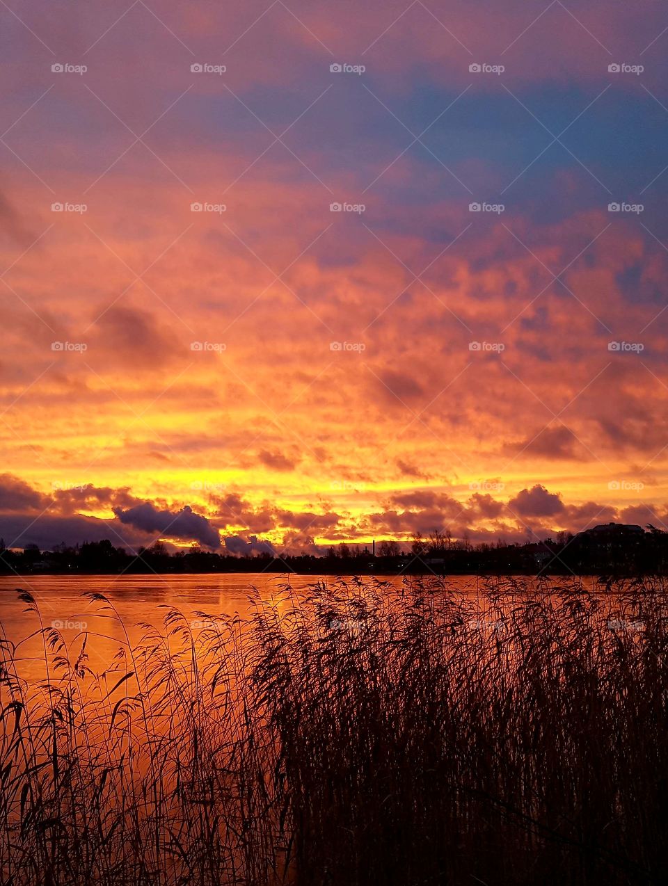 wonderful morning in november