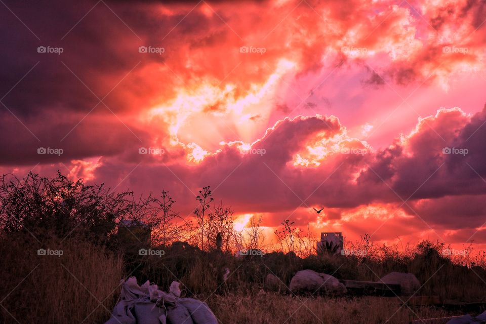 sunset from the movies