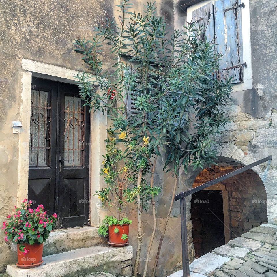 Home in Motovun, Croatia 