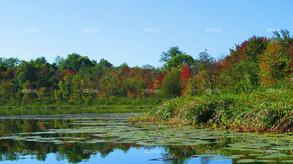 Fall day on the kayak