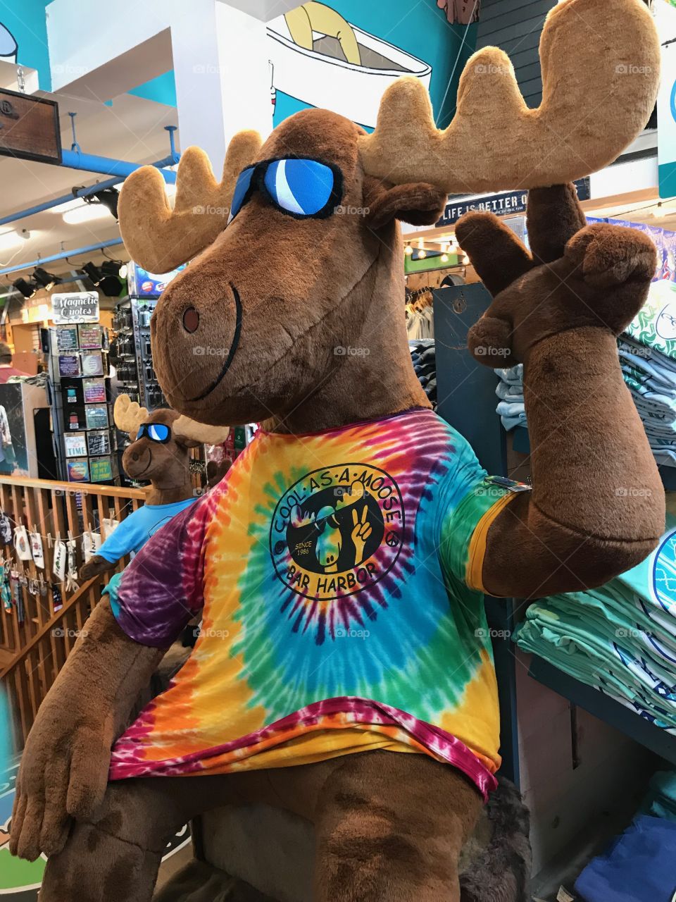 Peace from downtown Bar Harbor, Maine