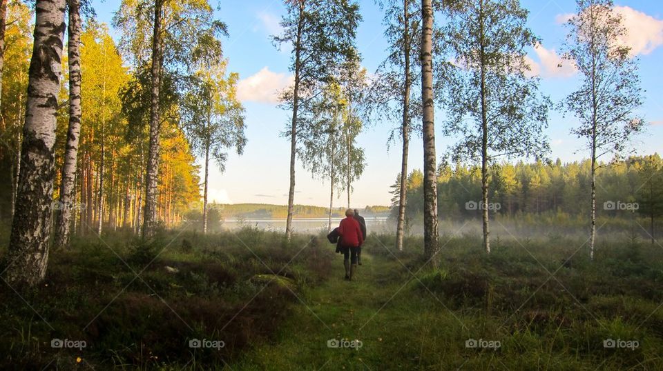 Walking in the forest.