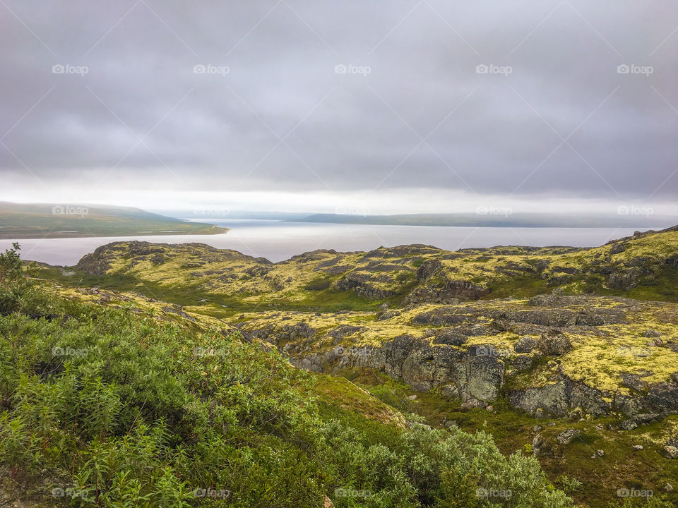 Tundra nature 