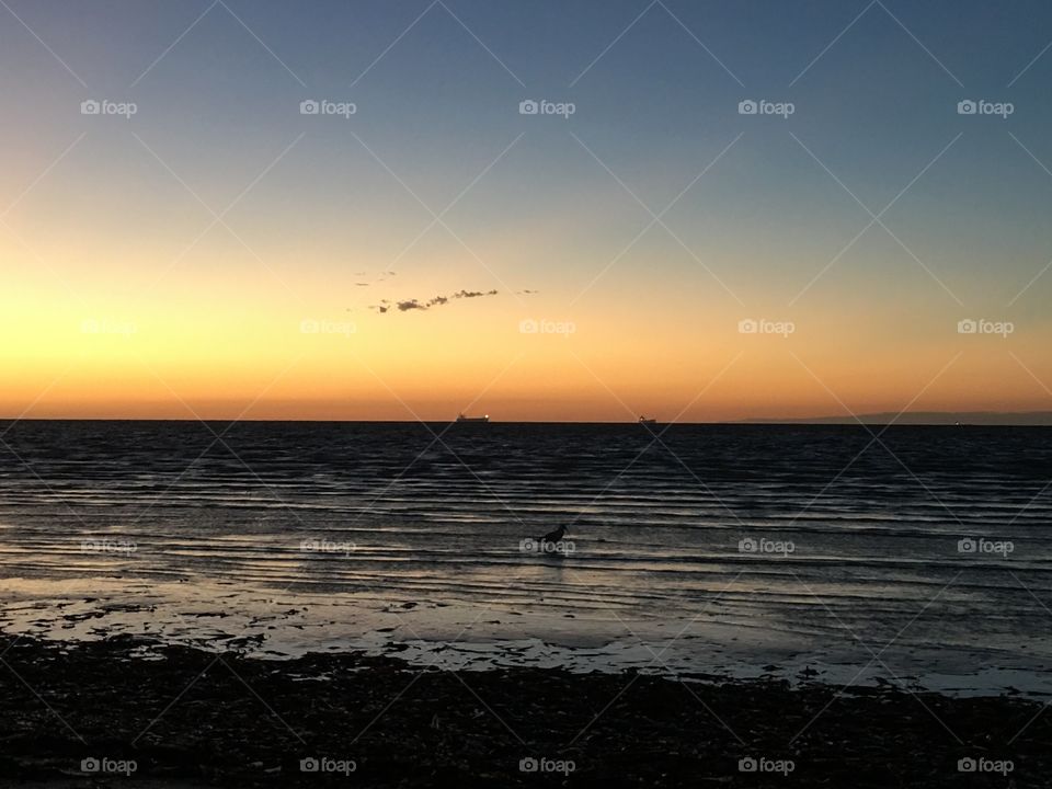 Sunrise, seagulls flying toward rising sun at sunrise on the ocean, silhouette ship in distance 