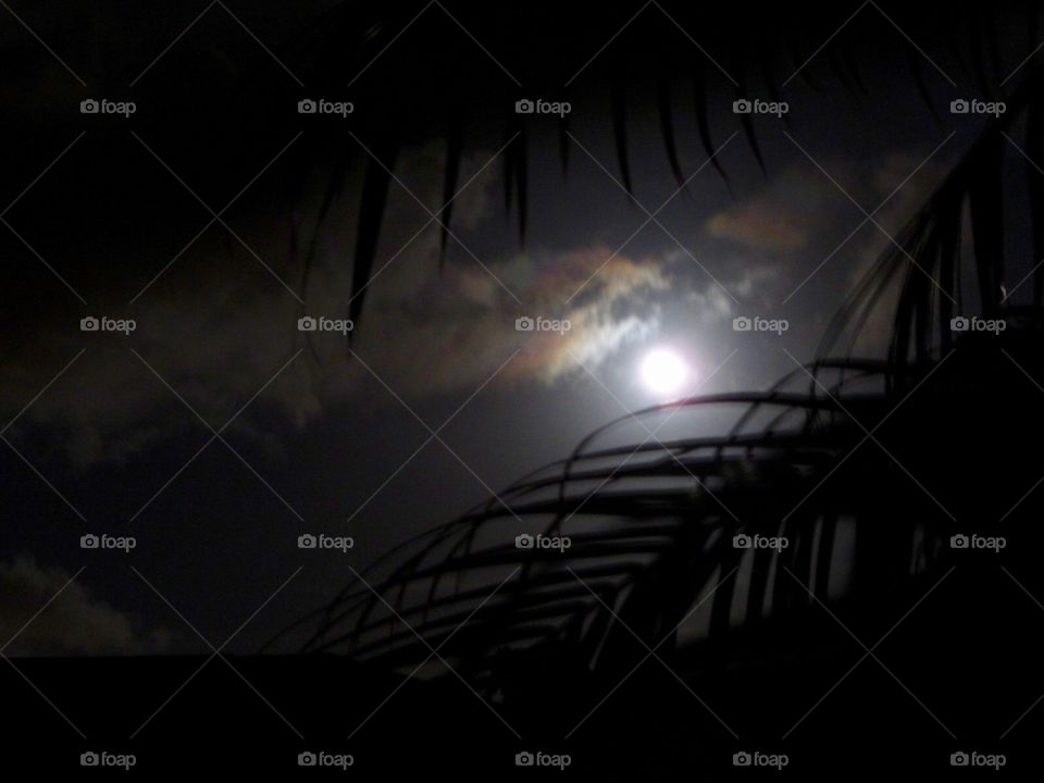 Full moon - Port St Lucie, Florida 