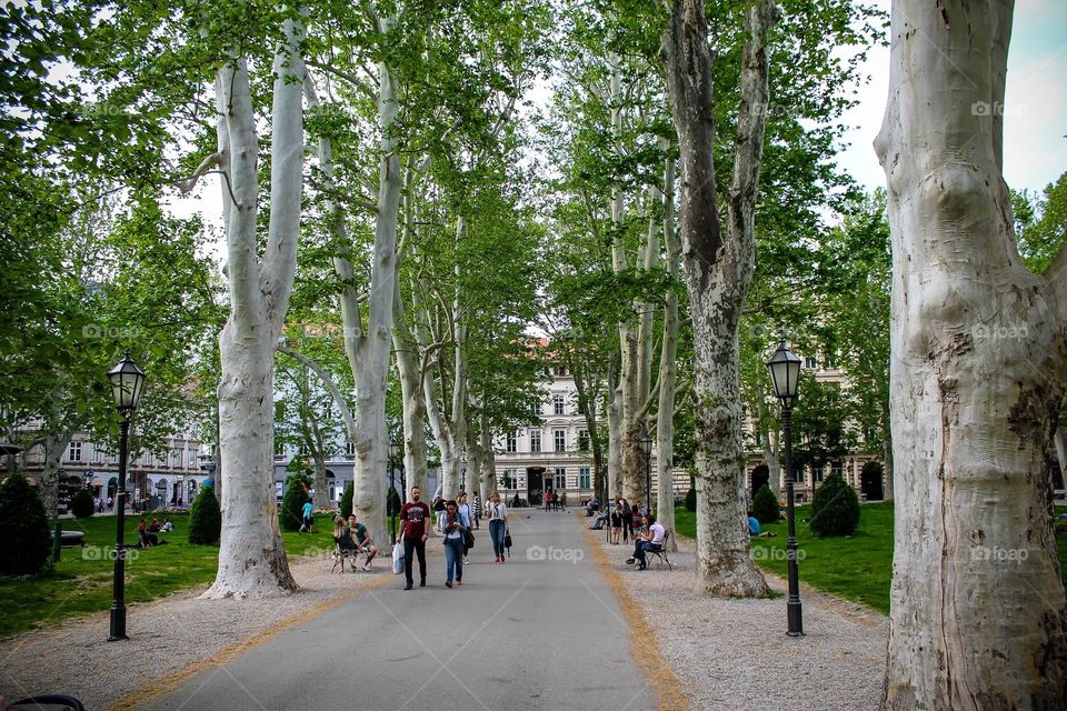 Park Zrinjevac, Zagreb