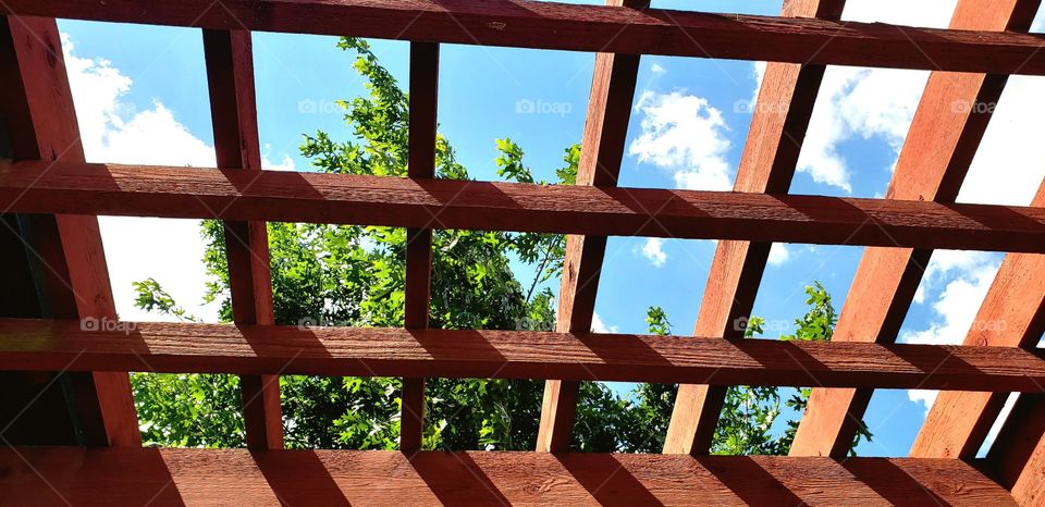 Trees and blue Sky through open Ceiling Structure