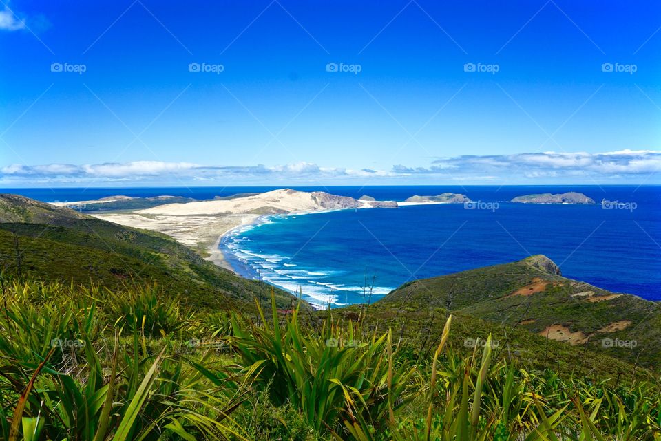 Cape Reinga