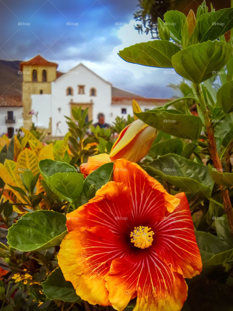 Flores y plantas en primer plano en el festival del árbol de Villa de Leyva, Boyacá, Colombia en la plaza principal con iglesia al fondo