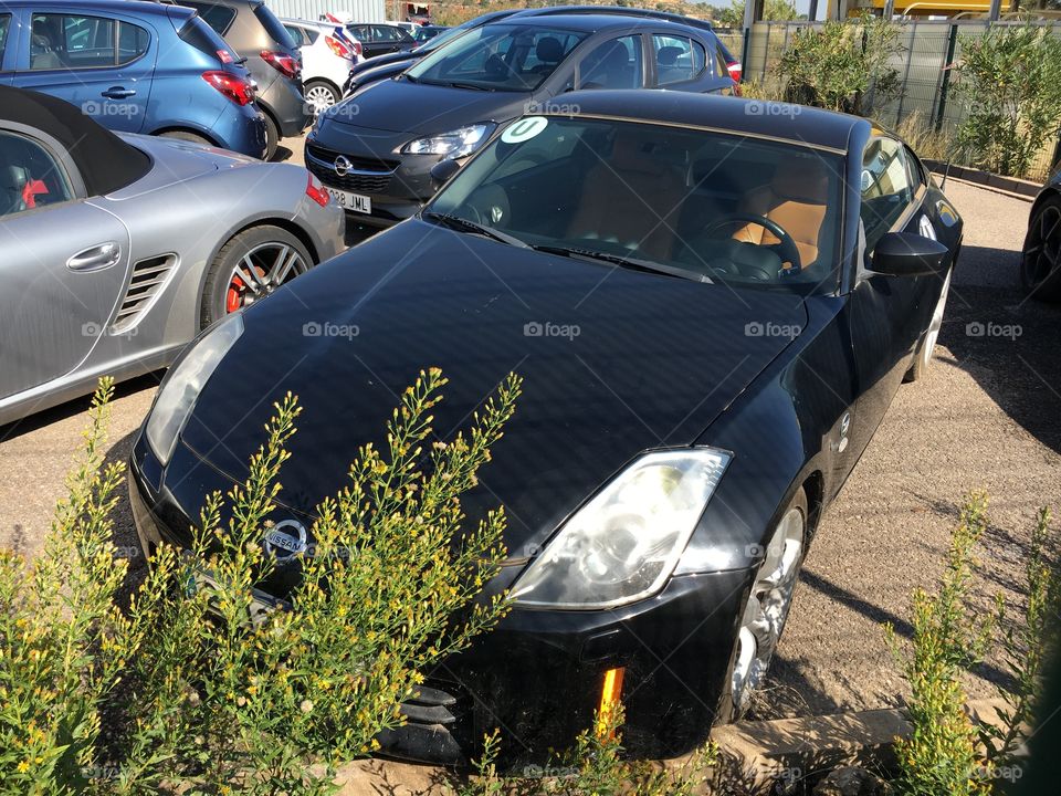 Abandoned 350z