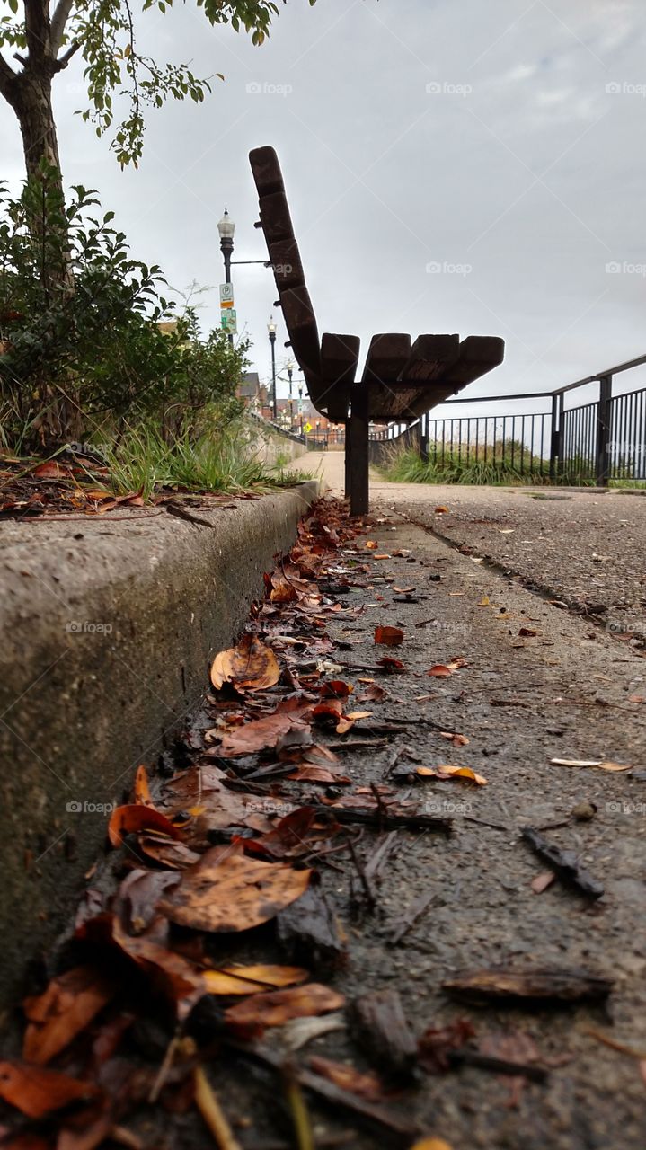 No Person, Wood, Outdoors, Nature, Tree