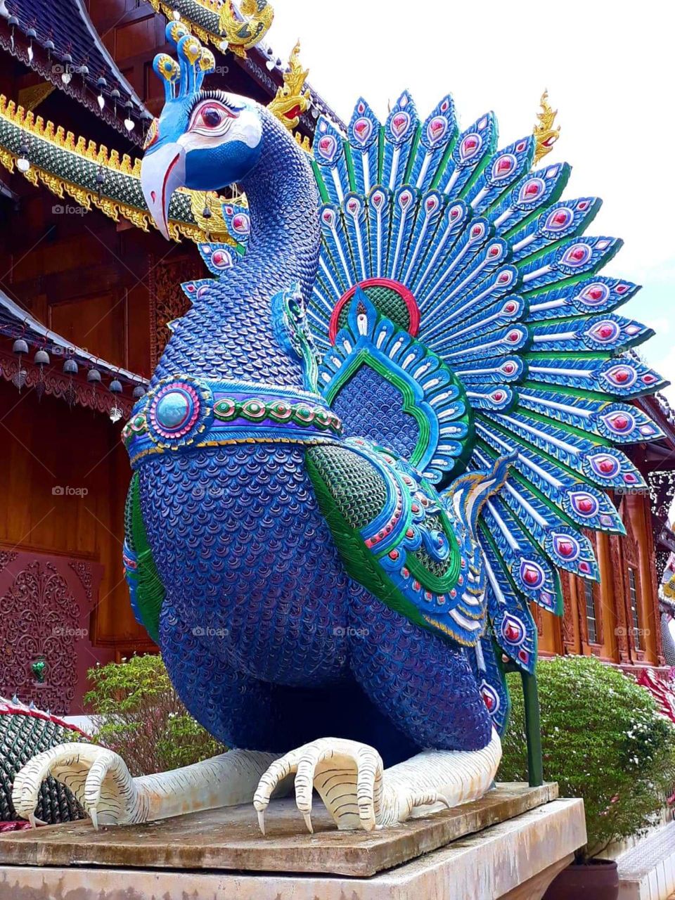 peacock statue in Temple. Thailand.