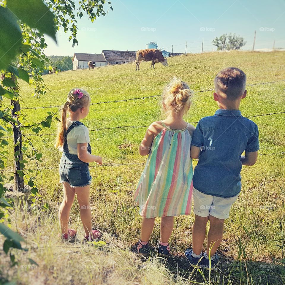 Kids watching cows.