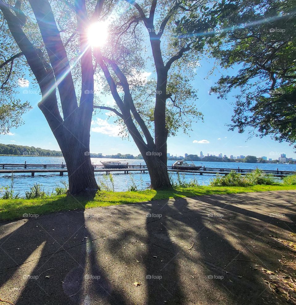 As if  shadows of trees tell a story