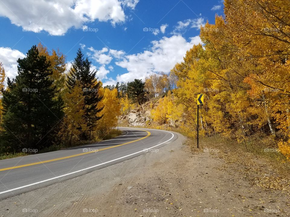 Road, Fall, Tree, No Person, Landscape