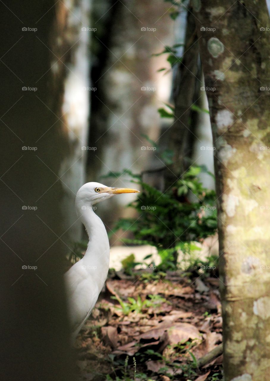 Please don't stared at me!