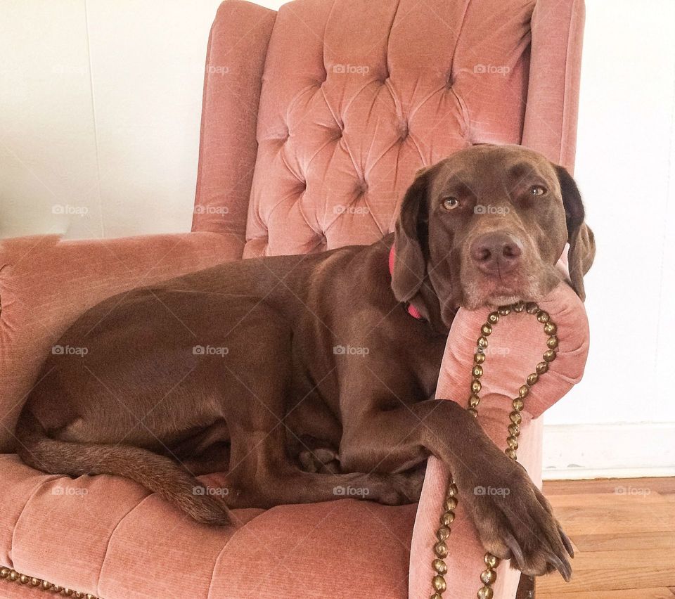 My eyes are going to sleep 