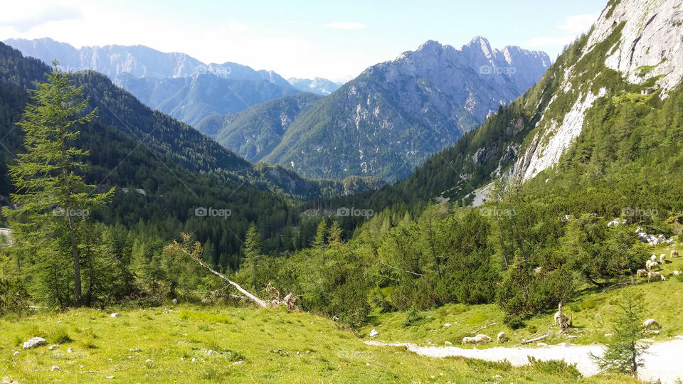 Panorama. slovenian alps