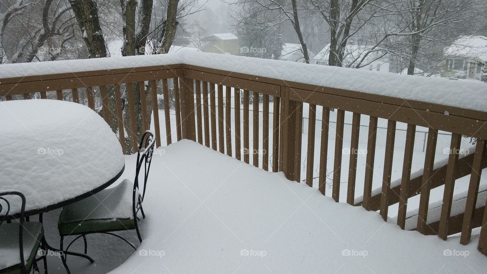 Winter, Snow, Cold, Wood, Frost