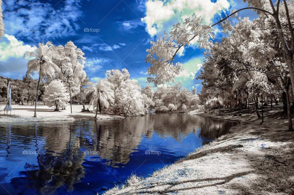 "A world without colours"
Location scouting Ayer Keroh Lakeside, Melaka - Malaysia.
Infrared photography IR630nm