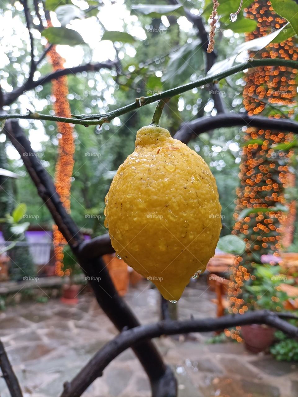 The rain is wonderful