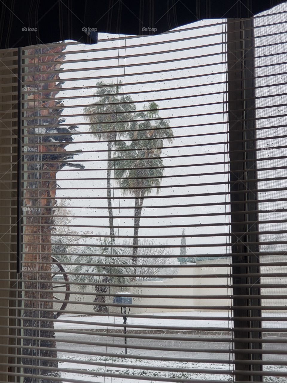 look outside my window, snow in Tucson