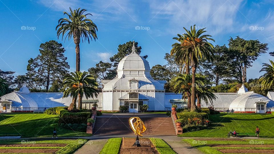 San Francisco conservatory of flowers in Golden Gate Park California with palm trees and beautiful blue skies 