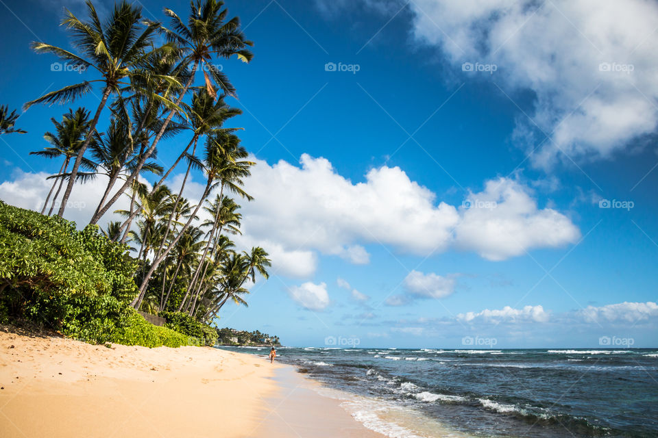 Hawaiian Beach