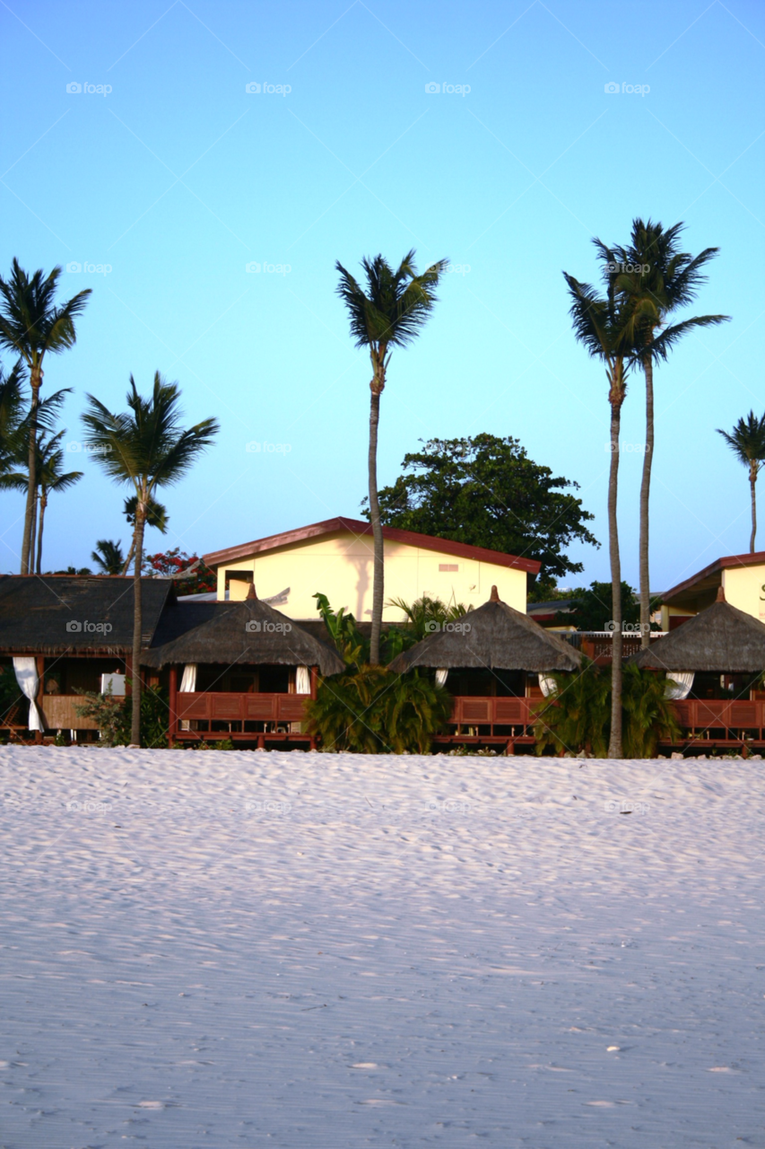 beach vacation resort palms by adrianocastelli