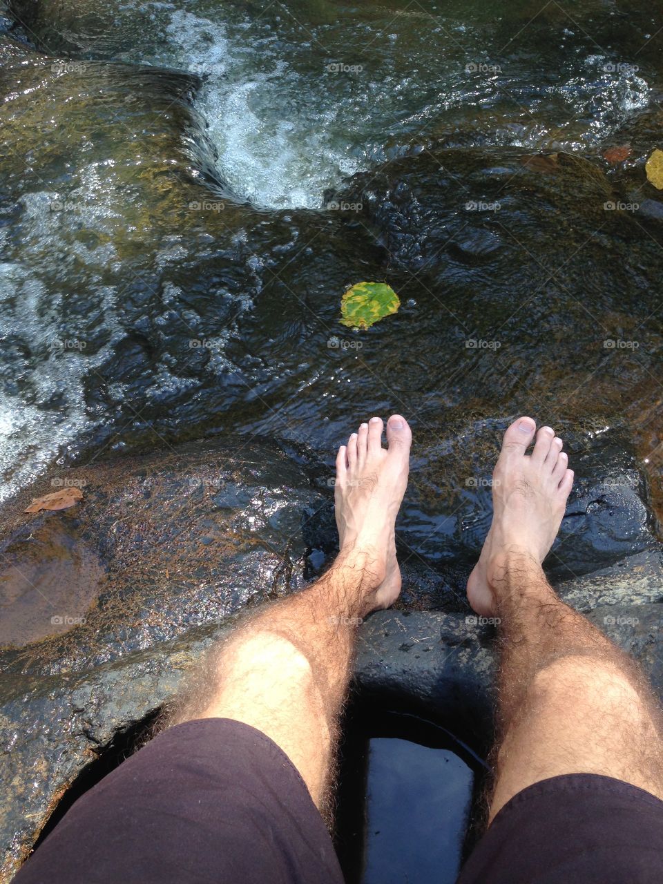 My point of view the life...