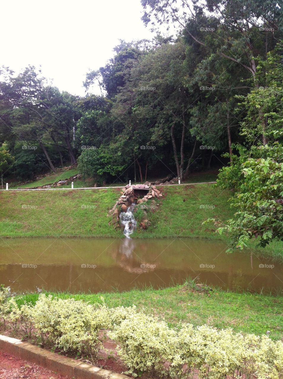 Uma paisagem incrível no Parque da Cidade, em Jundiaí. A Cachoeira no meio do caminho e em espaço aberto ficou joia, não?