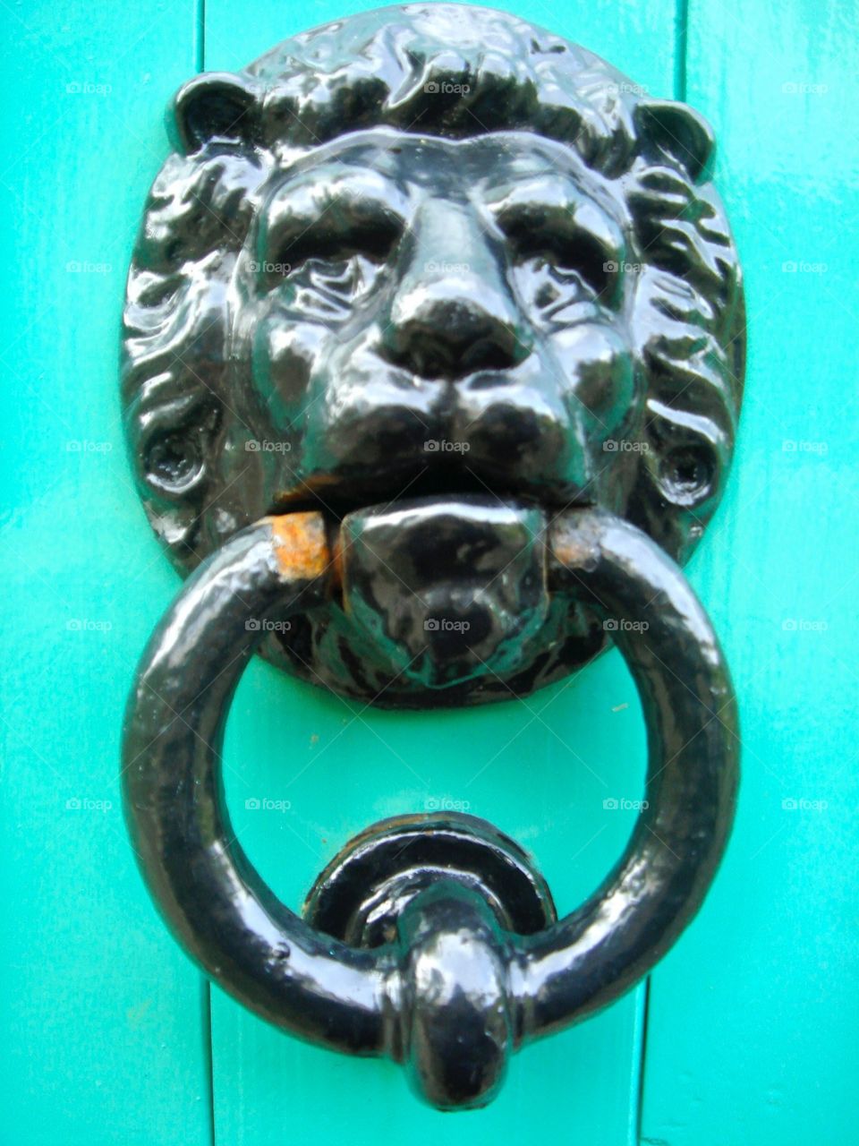 Sculpture, Art, Brass, Lion, Ancient