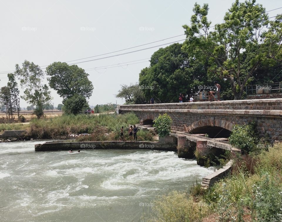 Captured this village canal scene during a visit to my village.😍📸