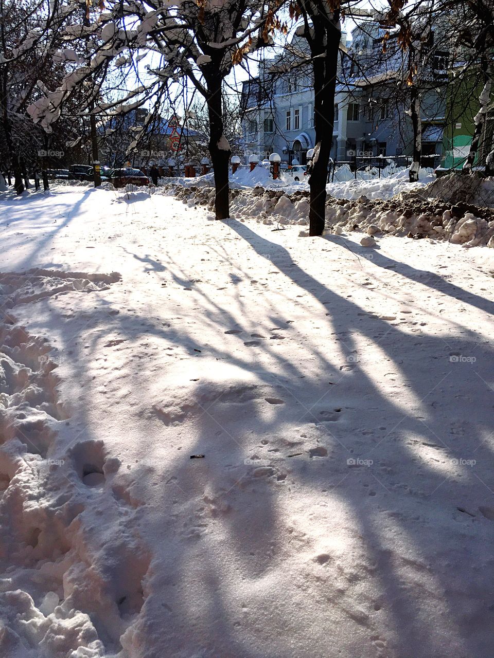 shadows on the snow