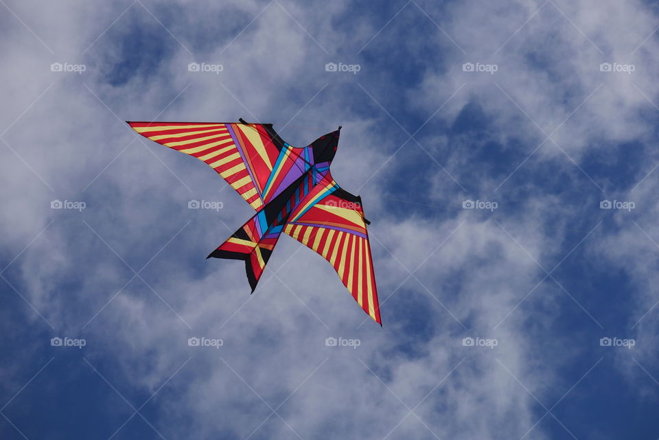 Colorful kite in the sky