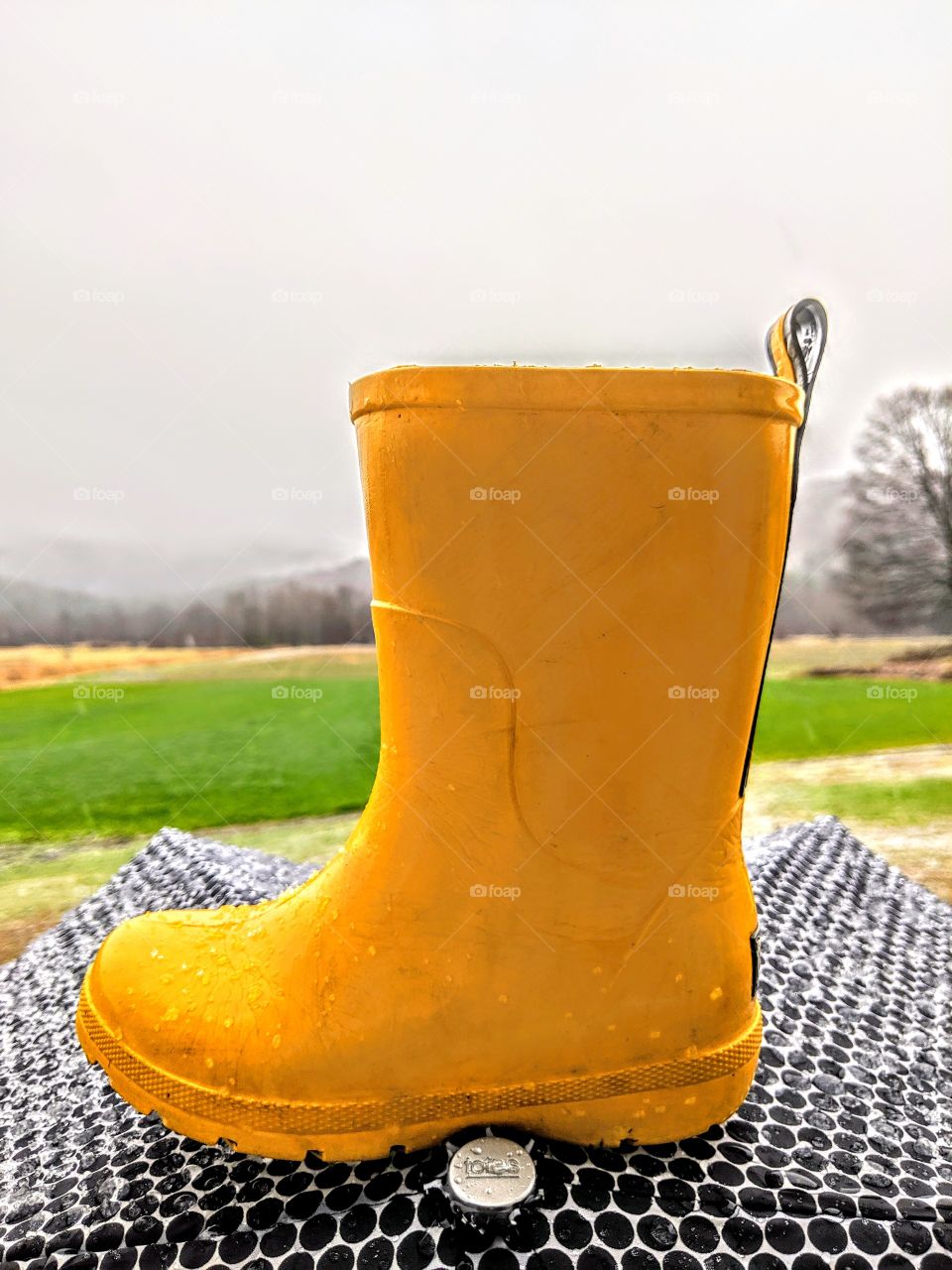 All things Fall with Totes