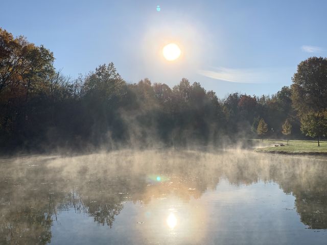 The mist rising from the pond at a local park. Lots of light, some shadows, a touch of green, and the pond looks like it’s on fire. 